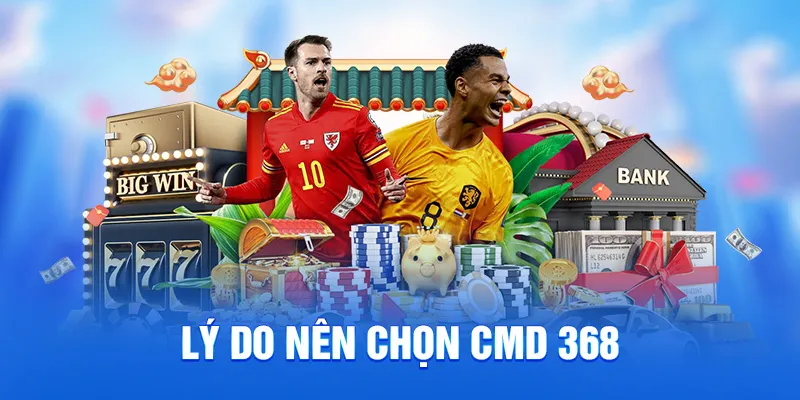 Lý do nên chọn cmd 368